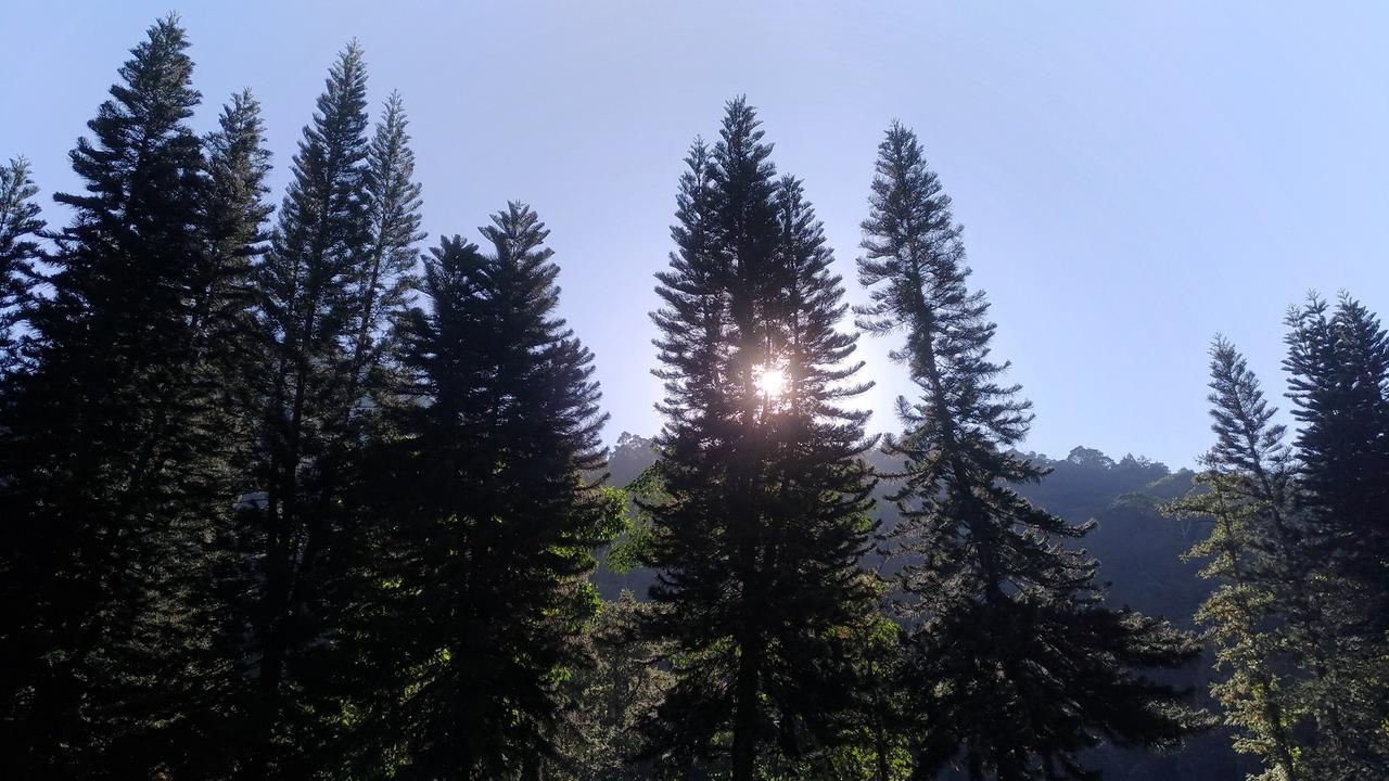 Chun Gu Farm Villa Nanzhuang Dış mekan fotoğraf